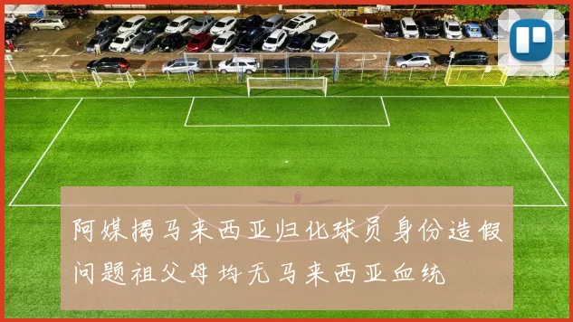 阿媒揭马来西亚归化球员身份造假问题祖父母均无马来西亚血统