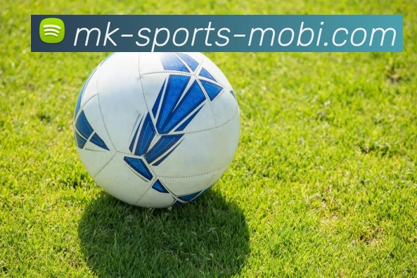 MK体育APP 高清赛事图