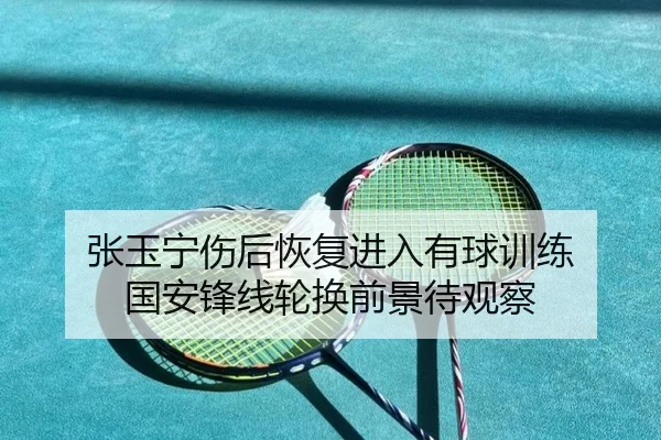 张玉宁伤后恢复进入有球训练 国安锋线轮换前景待观察 | mksports
